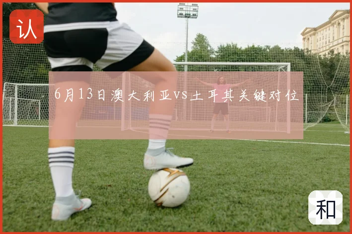 6月13日澳大利亚vs土耳其关键对位